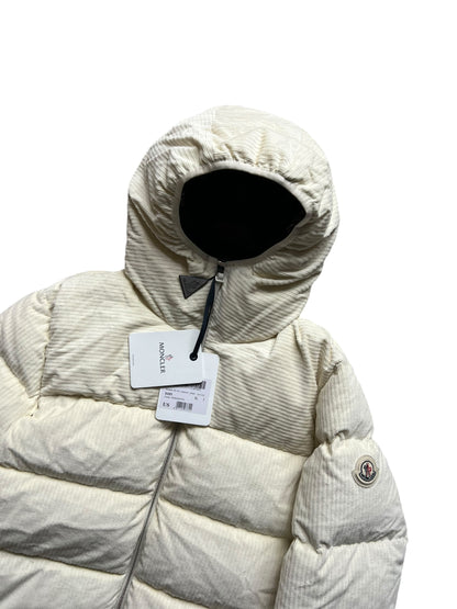 MONCLER DAISEN